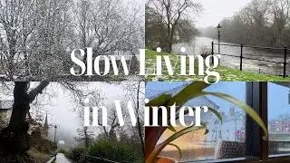 Slow Winter Days in North Wales | A Quiet Family Vlog