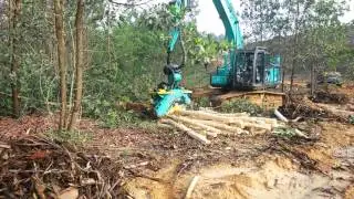 Bagaimana cara kerja Harvester alat pengupas + pemotong kayu