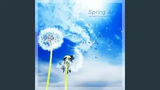 Spring Air