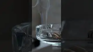 Does Lysol Remove Cigarette Smoke? Clean Life Blog