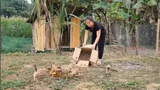 Single mother Recycling Old Wood for a Simple Outdoor DIY Project || Ly tieu Ly 
