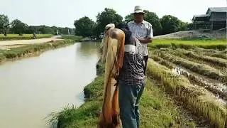 Net Fishing with Fisherman in river khmer