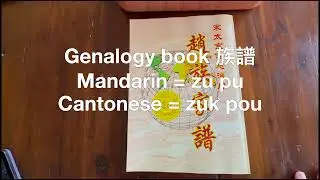 PART 1: CHINESE GENEALOGY BOOK BASICS: HOW TO READ? 族譜