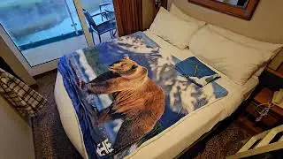 Radiance of the Seas | Room 9568 Tour | Balcony Cabin | Alaska Sailing