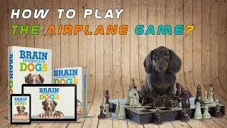Brain Training for Dogs - The Airplane Game Result