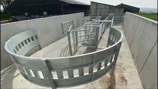 Cattle Handling Unit at Teagasc Agricultural College, Clonakilty | Condon Engineering