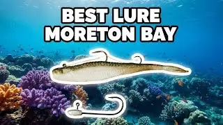 THE ONLY LURE YOU NEED at the REEF!