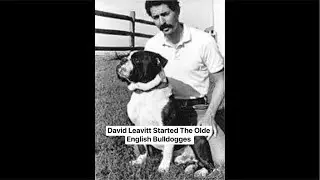 THE MASTEROFALLBULLDOGS SAID PERSONAL PROTECTION DOGS AREN&rsquo;T A SCAM TO BUY. ALL PUREBRED WAS MUTTS