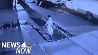 19-Month-Old Boy Killed in Attack by Family Dog in Brooklyn | News 4 Now
