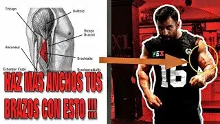 ¡Cómo hacer tus Brazos más ANCHOS con un solo ejercicio!