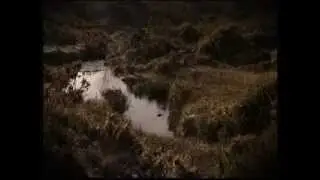 BBC Winterwatch 2013 - Episode 3
