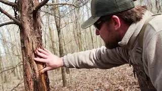 Amazing duck hunting property for sale in Mississippi Dixie Brake
