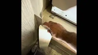How to Unlock a Whirlpool WFE3090JW Washing Machine Door Without Power