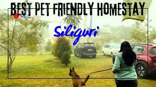 A Perfect Budget Friendly & Pet Friendly Homestay in SILIGURI | Starts at Rs 1500 | Honest Review 