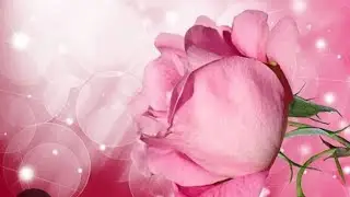 Rinki ki duniya  is Live good night my YouTube friends 🌹🤗😍🥀