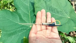 How to Make a Powerful Gun with Pen Cap, DIY Mini Toy Gun Using Pen Cap, Pen Slingshot, Pen Gun