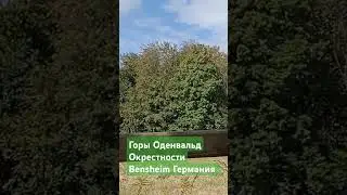 Горы Оденвальд. Окрестности Bensheim. Германия.
