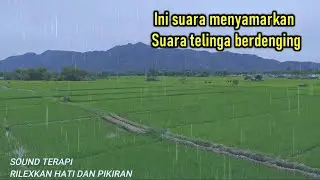 Tinnitus sound terapi Suara jangkrik hujan dan petir di persawahan dan Pegunungan - Terapi tidur
