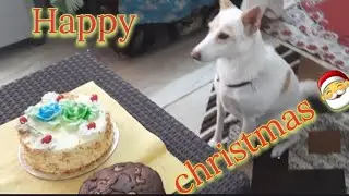 Christmas Special 🥳🎄🎉✨🎁🎊🎉 25-12-2025
