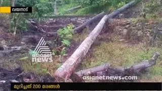 Case against KM Mani's son in law for cutting trees