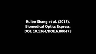 Biomedical Optics Express : Spectral modulation interferometry for quantitative phase imaging