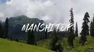 Manshi Top sharan forest
