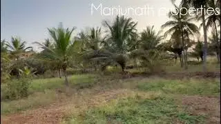 ID#588 4acer 20 Gunta Coconut🌴farm land Red Soil North facing.  5 1/2 farm land available 9845468777