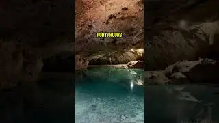 This is what swimming in a Mexican cenote looks like!