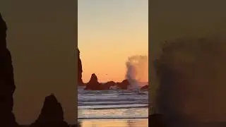 Perfect beach sunset at the Oregon Coast #sunset #beach #pacificocean #oregon #pnw #shorts