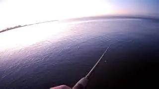 Getting Spooled - Toronto Salmon Fishing