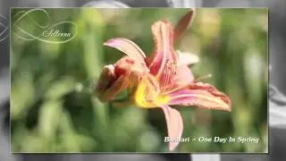 Bandari - One Day In Spring