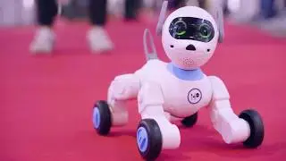 IFA Global Markets 2019 - Recap Video
