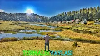 TURNALIK YAYLASI  Ⓢ  Sakarya