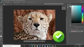 Clone Stamp Trick in Photoshop! #photoshop