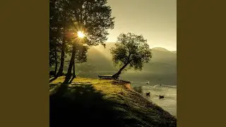 Golden Morning