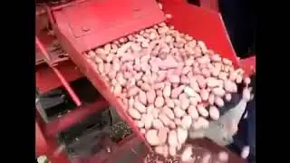 automatic peanut sheller machine