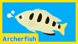 The Underwater Talent Show🐠| Archerfish | Kids Educational Video | Learn With Lotty Friends