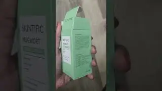 skintific mugwort acne clay stick