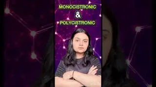 Monocistronic & polycistronic structural gene | Explained #biology #neet #bioeasywithkhushi
