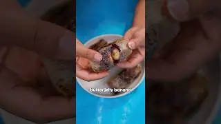 Ramadan Day 24 - PBJ Banana Spring Roll