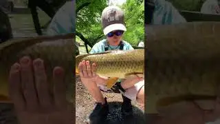 Always gotta pay attention lol#carp #nycfishing #carpangler #carplife