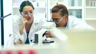 Цифровая трансформация Бакмана