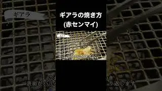 ギアラ(赤センマイ)の美味しい焼き方#shorts