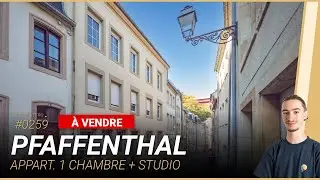 &Agrave; VENDRE  - Appartement 1 chambre + Studio &agrave; Pfaffenthal 💛🌞🦅