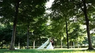 Emotional Chicago Wedding Video Trailer