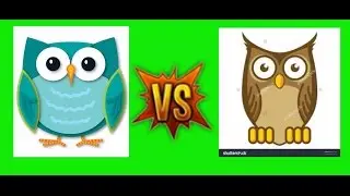 Minecraft owl building compotition against Reese Wescott Vlogs