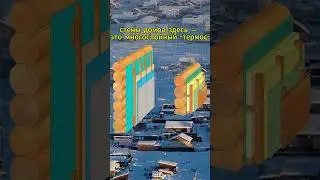 Как выживают на Полюсе холода? | Оймякон (-71&deg;C)#shorts  #интересныефакты#интересное