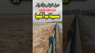 High Flood In River Chenab Head Marala sialkot #flood #shortvideos #viral #viralvideos #trending