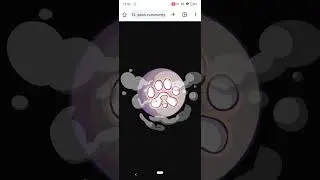 Paws Verification Solana Wallet Problem Solve | Paws via verify | Paws Supply | Paws tg