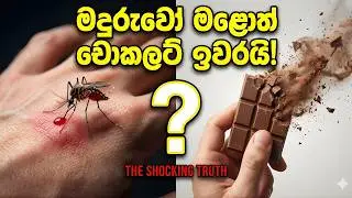 මදුරුවට වඩා භයානක සතෙක් එනවා! - සොබාදහමේ භයානක පළිගැනීම 😱 | Worse than Mosquitoes